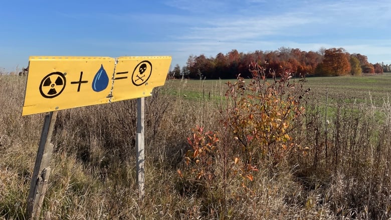 Yellow signs expressing opposition to the proposed nuclear dump site are scattered around the Municipality of South Bruce. 