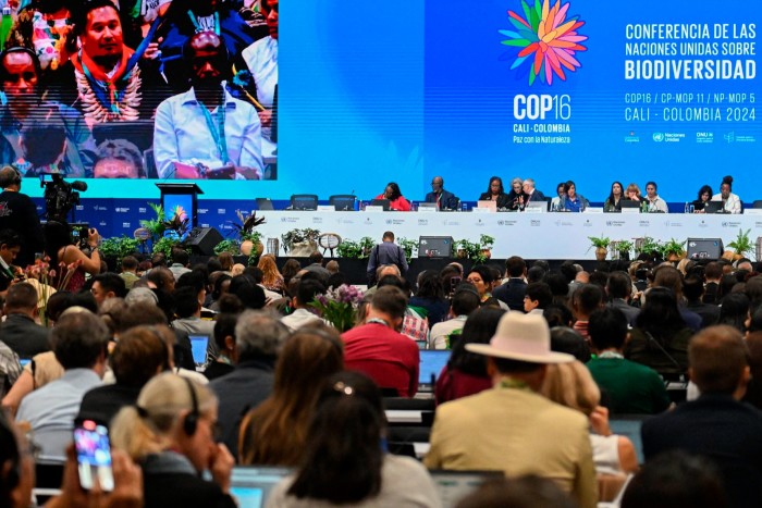 Delegates gather in a large hall for the opening ceremony of the COP16 summit. A stage is set at the front with a panel of speakers seated