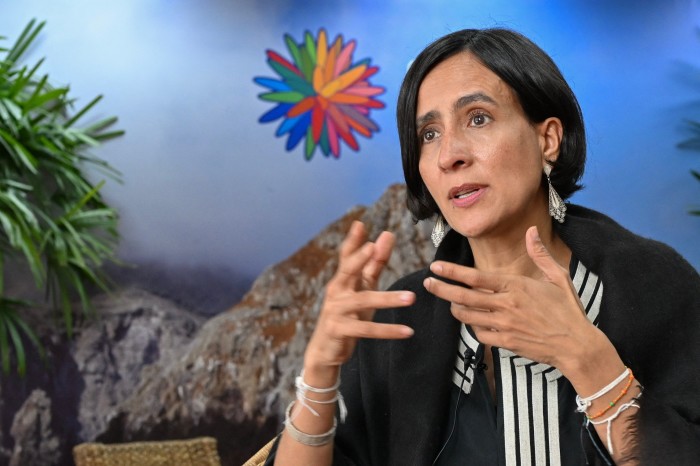 Susana Mohamad gestures during an interview