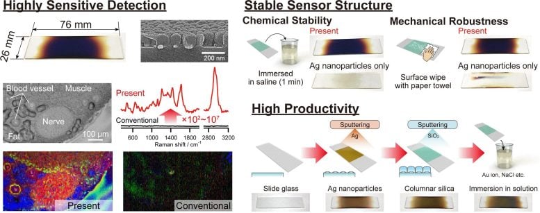 Highly Sensitive Molecular Detection Through Long-Range Molecule-Plasmon Interactions