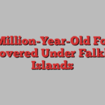 30-Million-Year-Old Forest Discovered Under Falkland Islands