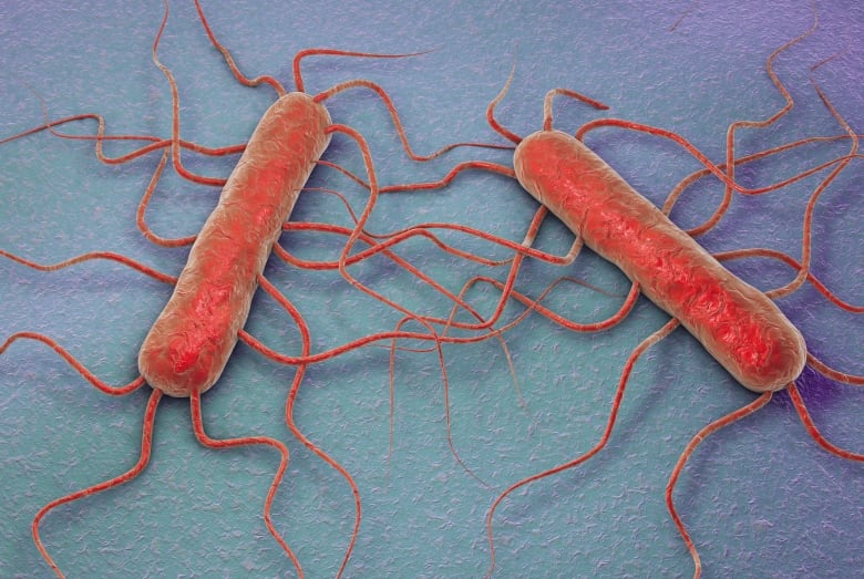  3D illustration of bacterium Listeria monocytogenes.