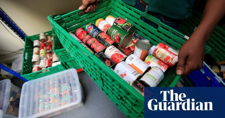 More than 9 million Britons vulnerable to reliance on food banks, research finds | Food banks