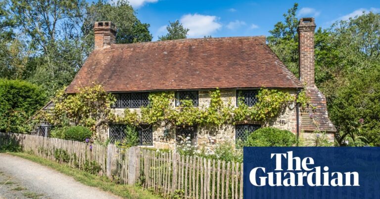 Homes for sale close to British woodland – in pictures | Money