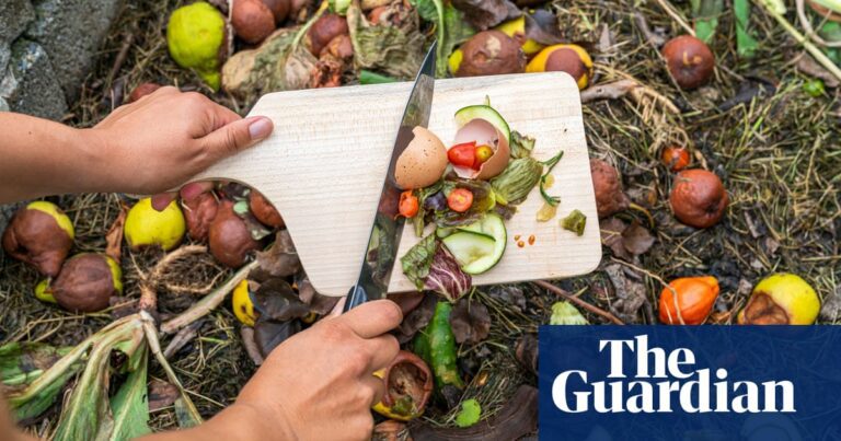 Food waste and the horror of discarded pumpkins | Food waste