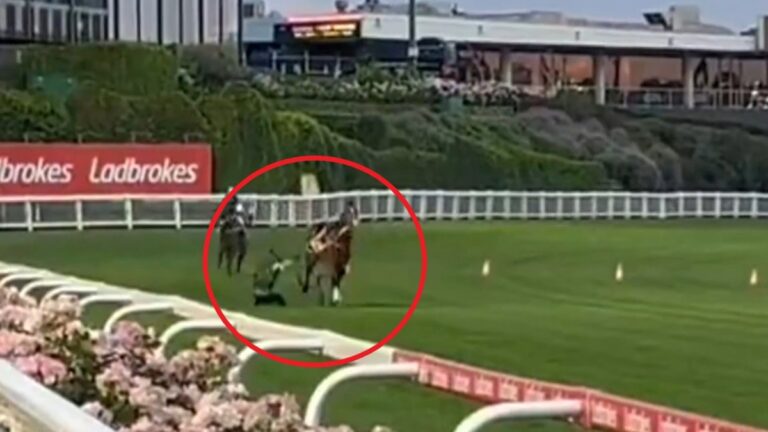 Horse racing news 2024, Cox Plate hopeful Via Sistina throws jockey James McDonald at trackwork, video