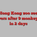 A Hong Kong zoo seeks answers after 9 monkeys die in 2 days