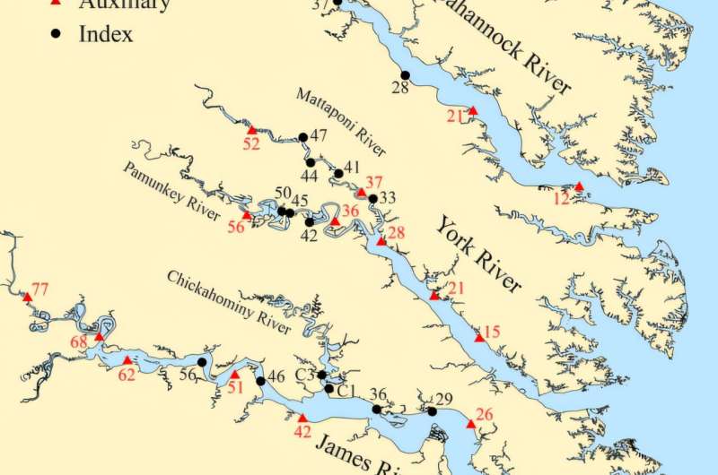 A poor year for juvenile striped bass in Virginia waters in 2024