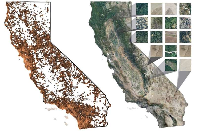 Using AI and iNaturalist, scientists build one of the highest resolution maps yet of California plants