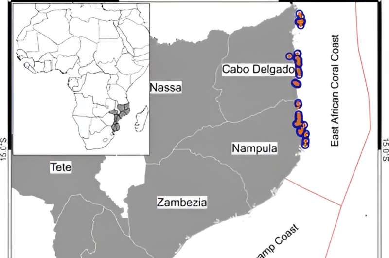 New models predict marine species hotspots in previously unmapped oceans in Mozambique