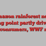 Amazon rainforest near tipping point partly driven by UK consumers, WWF says