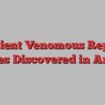 Ancient Venomous Reptile Species Discovered in Arizona