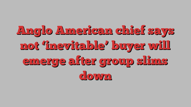 Anglo American chief says not ‘inevitable’ buyer will emerge after group slims down