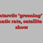 Antarctic ‘greening’ at dramatic rate, satellite data show