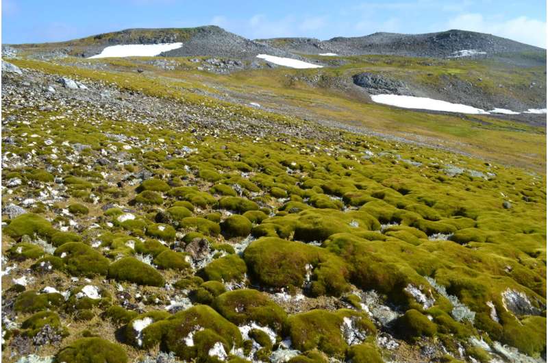 Antarctic 'greening' at dramatic rate