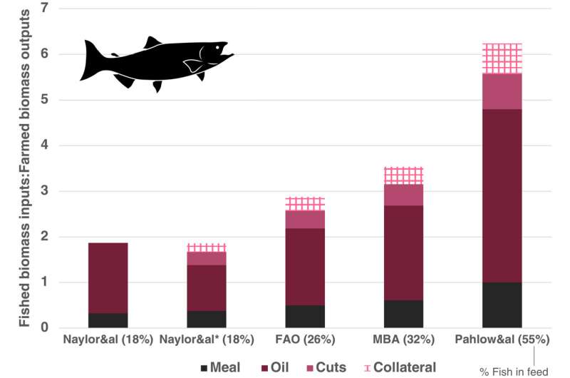 Aquaculture uses far more wild fish than previously estimated, study finds