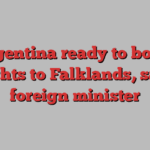 Argentina ready to boost flights to Falklands, says foreign minister