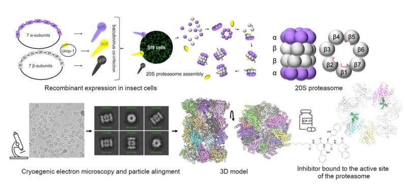 Scientists from IOCB Prague help to improve medical drugs