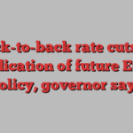 Back-to-back rate cuts no indication of future ECB policy, governor says