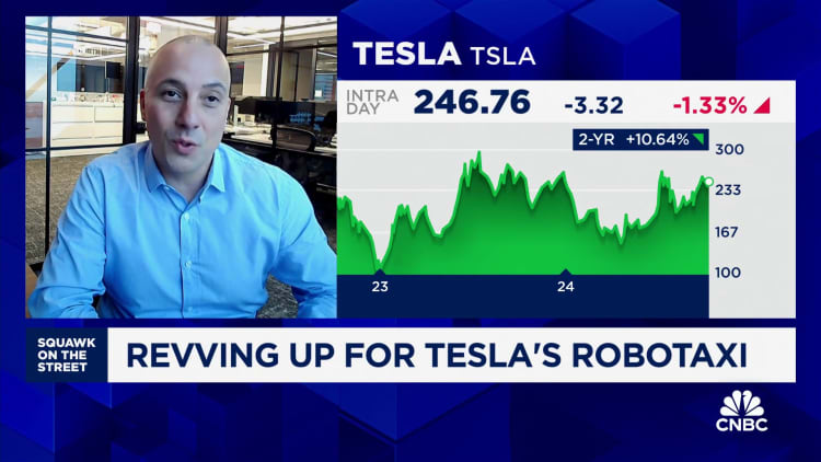 Expectation from Tesla robotaxi event is 'pretty low', says Canaccord's George Gianarikas