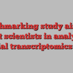 Benchmarking study aims to assist scientists in analyzing spatial transcriptomics data