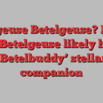 Betelgeuse Betelgeuse? Bright star Betelgeuse likely has a ‘Betelbuddy’ stellar companion