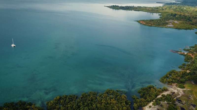 Better ocean connectivity boosts reef fish populations