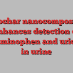 Biochar nanocomposite enhances detection of acetaminophen and uric acid in urine