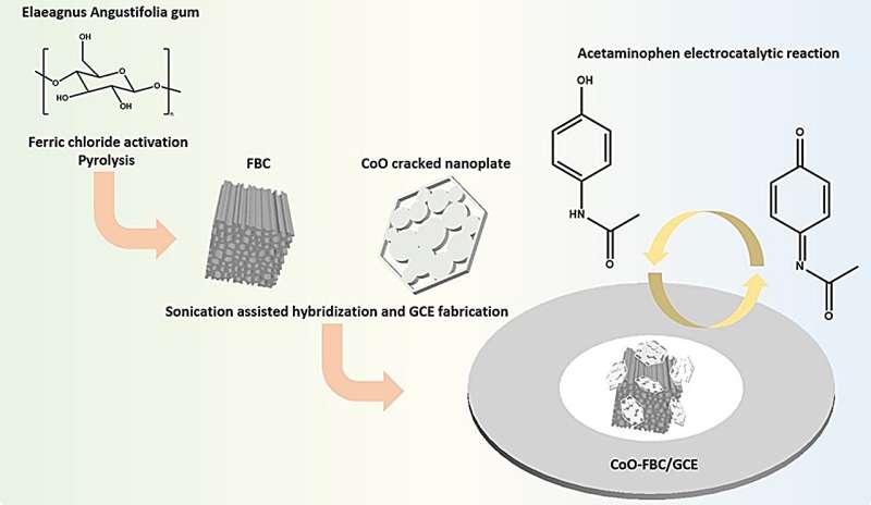 New biochar nanocomposite enhances detection of acetaminophen and uric acid in urine