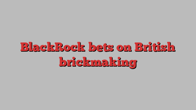 BlackRock bets on British brickmaking