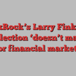 BlackRock’s Larry Fink says US election ‘doesn’t matter’ for financial markets