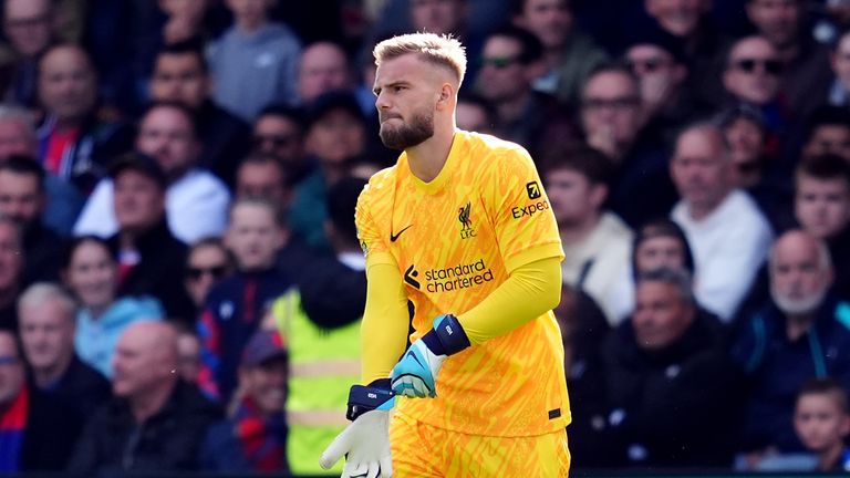 Liverpool reserve goalkeeper Vitezslav Jaros makes his first Premier League appearance