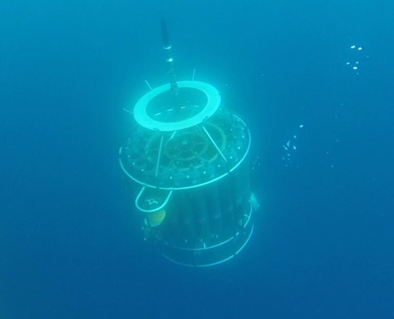 Hidden Phytoplankton Thriving As Oceans Warm