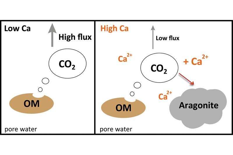 Calcium reduces CO₂ emissions from Arctic soils through mineral formation, study shows