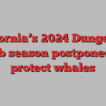 California’s 2024 Dungeness crab season postponed to protect whales