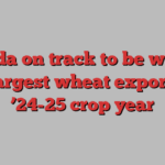 Canada on track to be world’s 3rd-largest wheat exporter in ’24-25 crop year