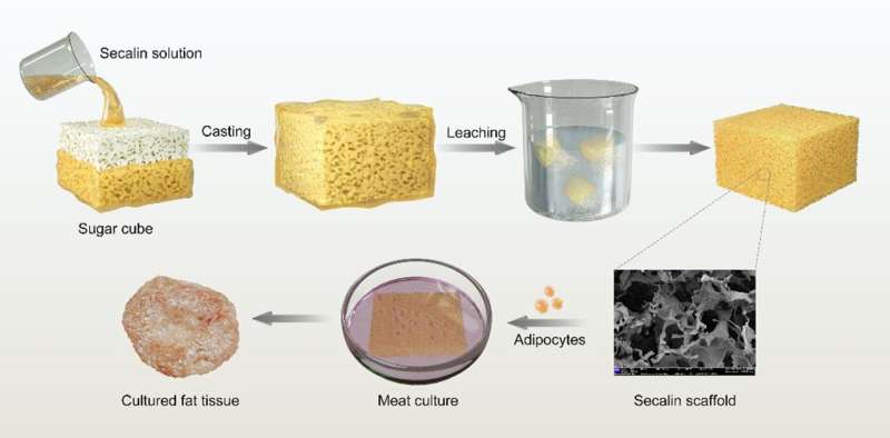 Culturing pork fat tissue on rye protein scaffolds