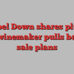 Chapel Down shares plunge after winemaker pulls back on sale plans