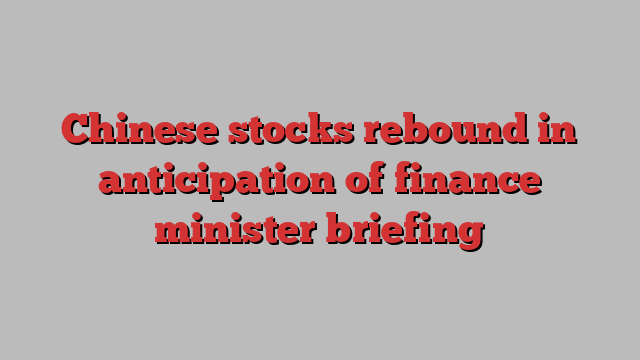 Chinese stocks rebound in anticipation of finance minister briefing