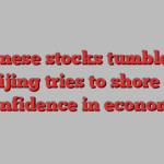 Chinese stocks tumble as Beijing tries to shore up confidence in economy