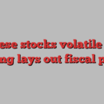 Chinese stocks volatile after Beijing lays out fiscal plans