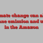 Climate change can alter methane emission and uptake in the Amazon