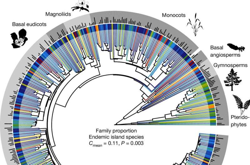 Island biodiversity: Comprehensive assessment finds one in three plants call islands home