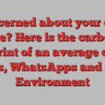 Concerned about your data use? Here is the carbon footprint of an average day of emails, WhatsApps and more | Environment