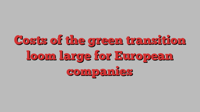 Costs of the green transition loom large for European companies