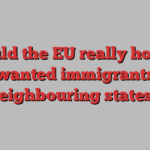 Could the EU really house unwanted immigrants in neighbouring states?