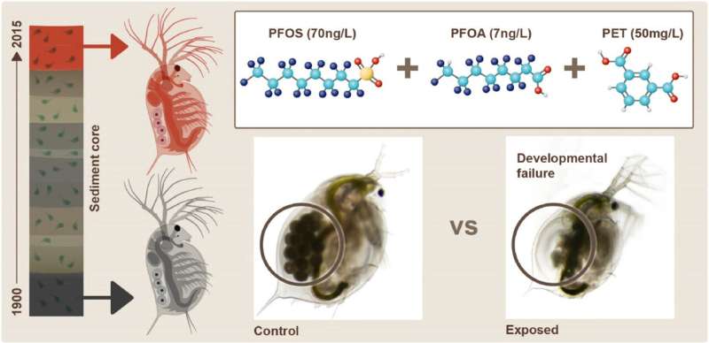 Microplastics and PFAS: Study finds combined impact results in greater environmental harm