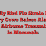 Deadly Bird Flu Strain From Dairy Cows Raises Alarms With Airborne Transmission in Mammals