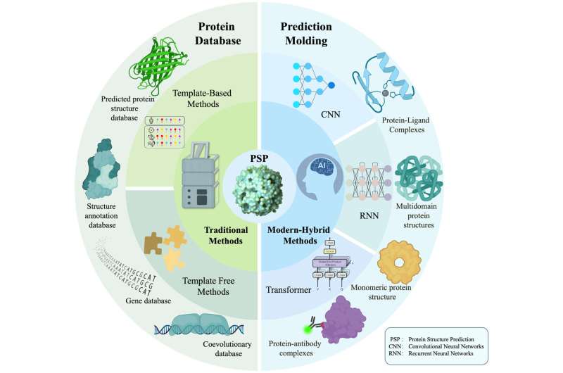 Deep learning enhances accuracy and efficiency in protein structure prediction