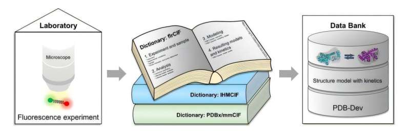 3D structures of biomolecules: 'Dictionaries' make fluorescence-based data accessible